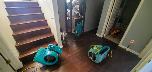 Best Sewage cleanup and water damage restoration  in Beloit, KS