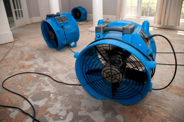 Best Fire Damage Restoration  in Beloit, KS